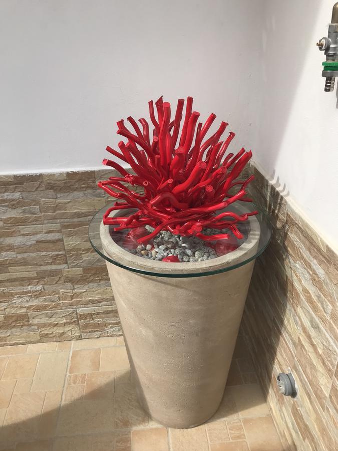 Bed and Breakfast La Conchiglia Tropea Esterno foto